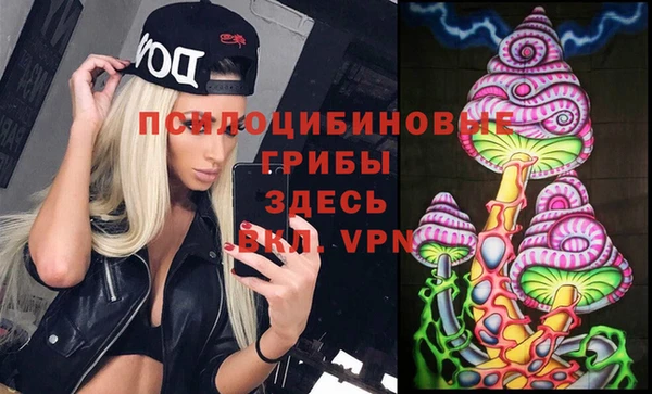 кристаллы Вяземский
