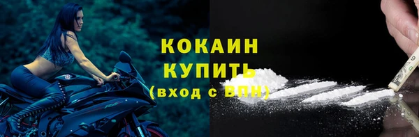 ПСИЛОЦИБИНОВЫЕ ГРИБЫ Вязники
