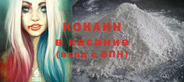 ПСИЛОЦИБИНОВЫЕ ГРИБЫ Вязники