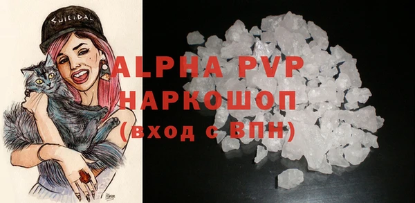 ПСИЛОЦИБИНОВЫЕ ГРИБЫ Вязники