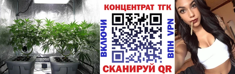 Купить  Гаврилов Посад  ТГК гашишное масло 