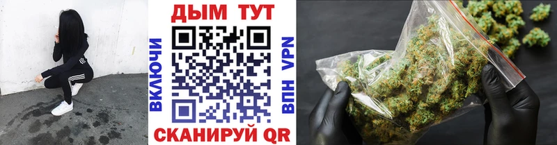 Купить закладки  Гаврилов Посад  Бошки марихуана ГИДРОПОН 